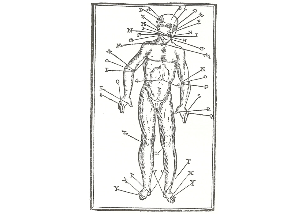 Tractado anatomia flebotomia nervios sanguijuelas-Molina-Munoz-Rico-Incunables Libros Antiguos-libro facsimil-Vicent Garcia Editores-4sangria.